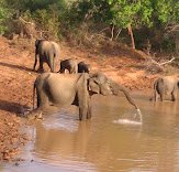 Kumana National Park