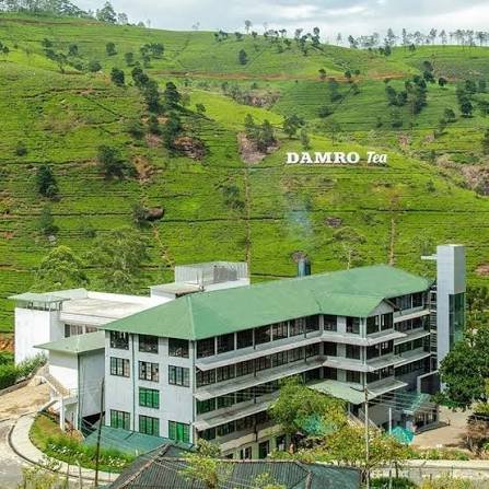 Labookellie Tea Factory
