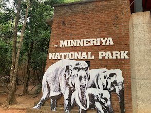 Minneriya National Park